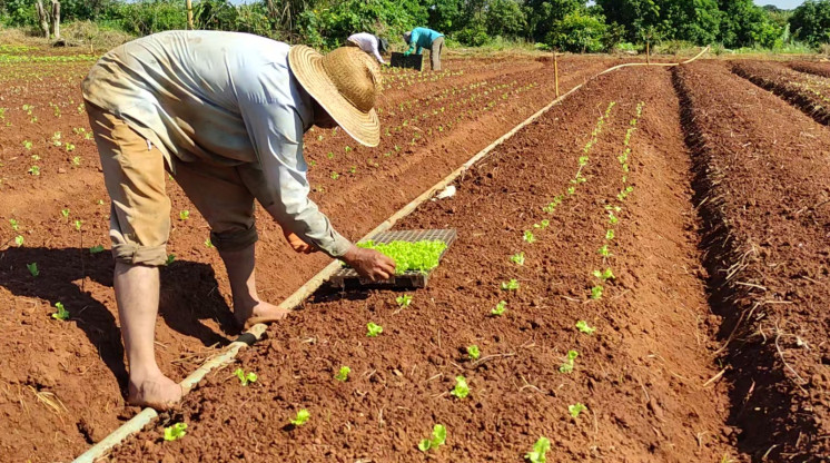 Hortolândia é contemplada com recursos para execução do Programa de Aquisição de Alimentos