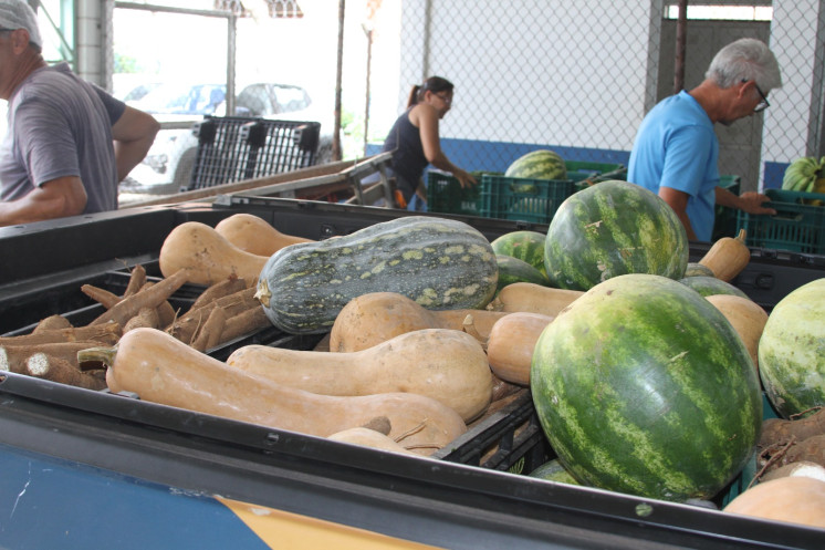 Prefeitura retoma Programa de Aquisição de Alimentos, que beneficia mais de mil pessoas em Hortolândia